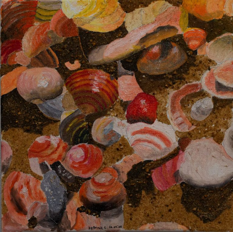 Muscheln am Strand Muscheln